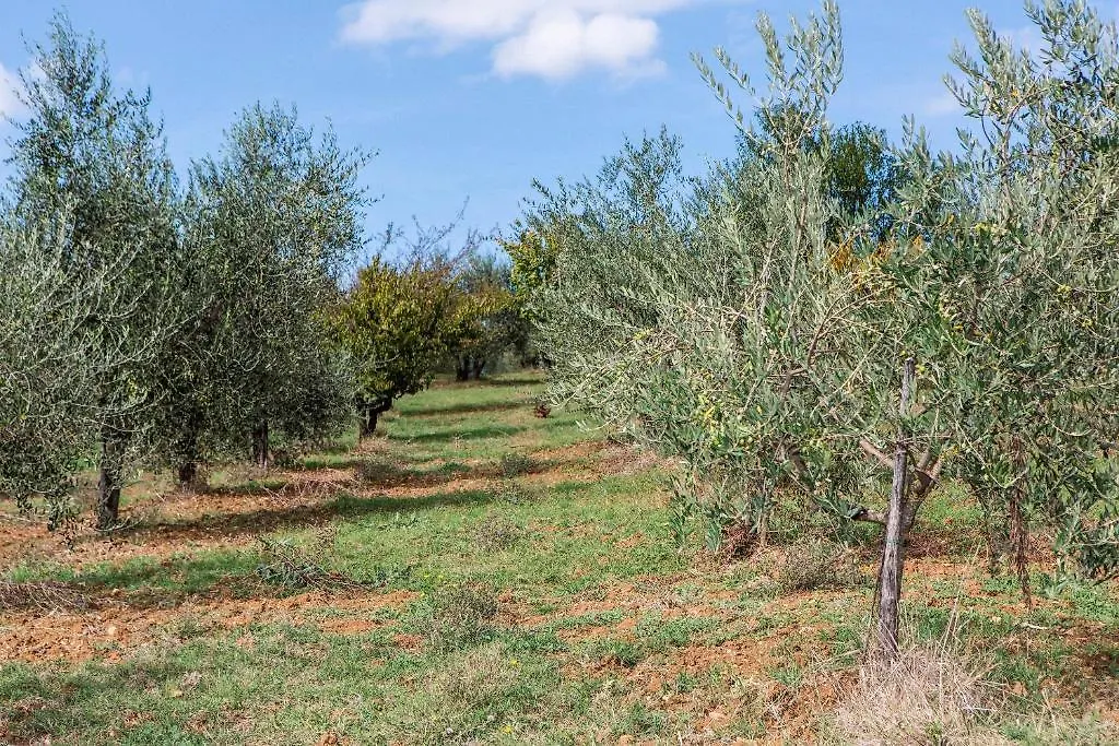 Farm stay Fattoria Di Rimezzano Hotel Bagno A Ripoli Italy
