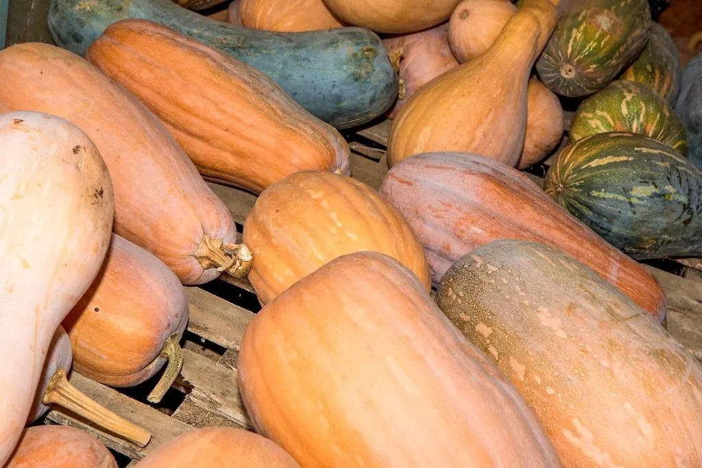 Farm stay Fattoria Di Rimezzano Hotel Bagno A Ripoli